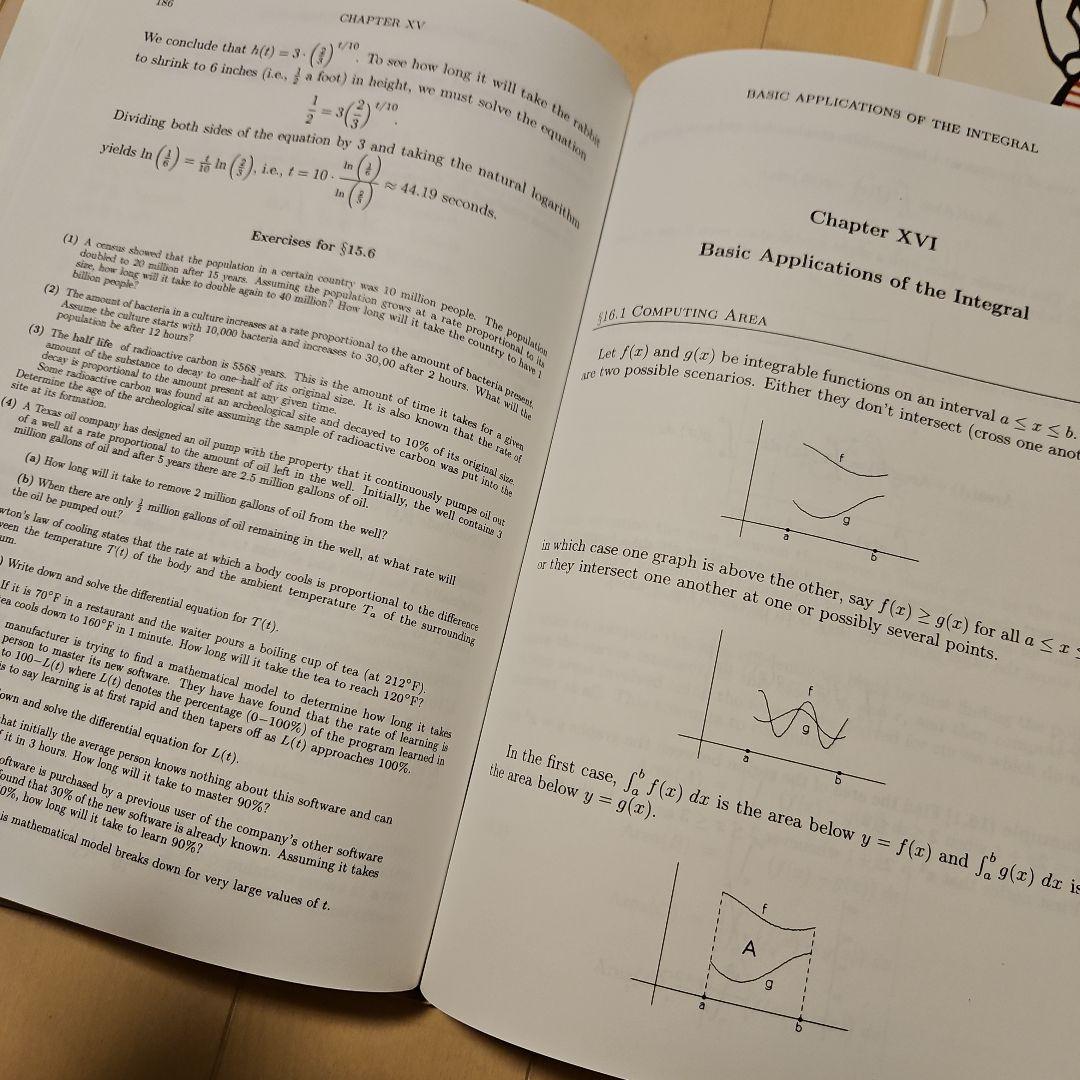 Calculus: A Computer Algebra Approach 英語