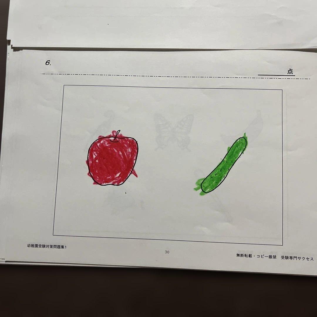 雙葉小学校附属幼稚園　問題集　受験専門サクセス　幼稚園受験