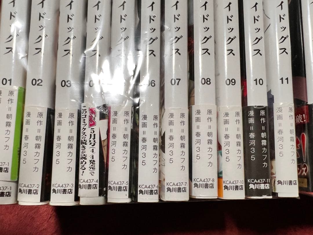 文豪ストレイドッグス1-22巻　外伝　小説他　28冊セット