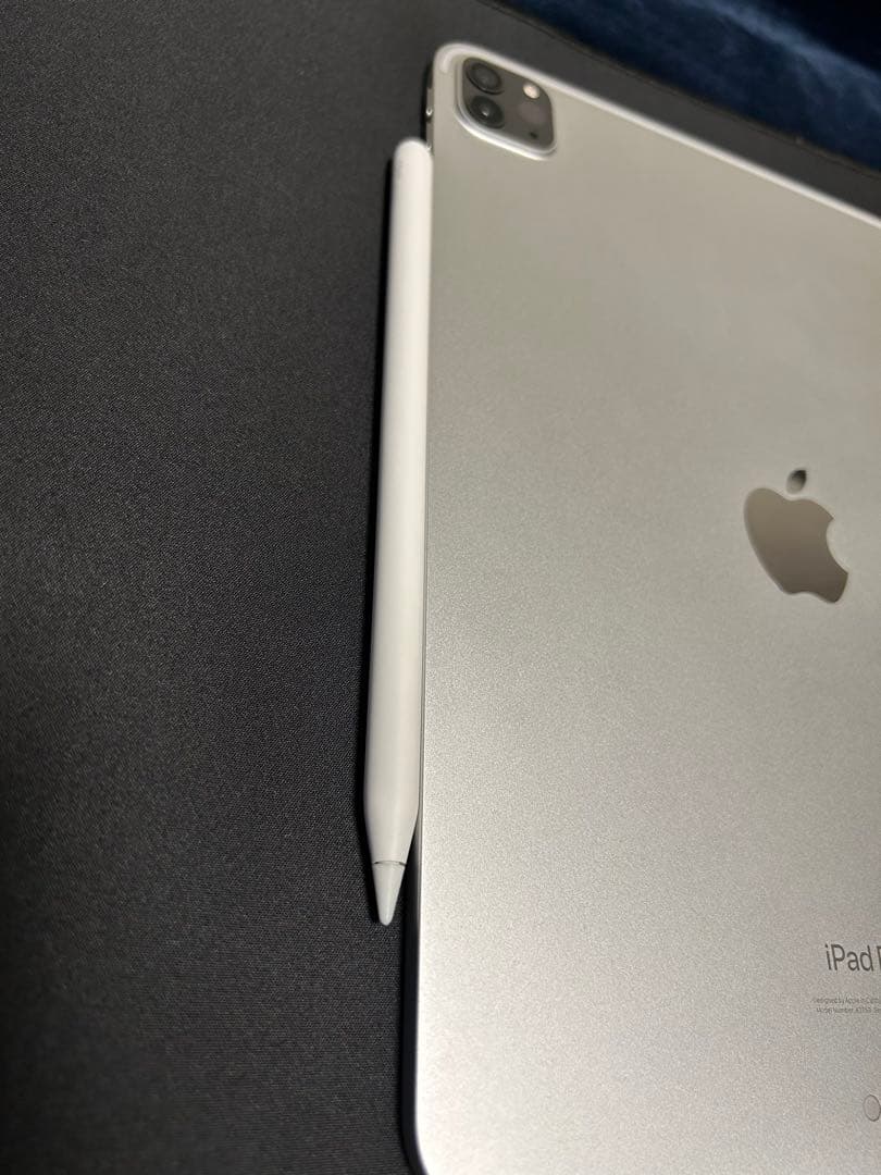 Apple iPad Pro 11インチ　第4世代　Apple Pencil