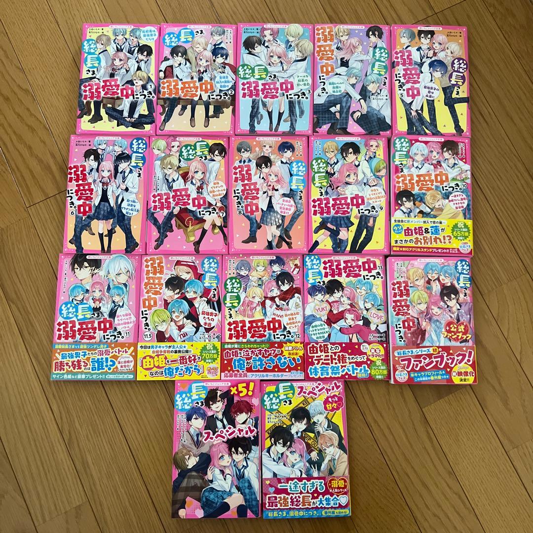 総長さま、溺愛中につき。　17冊セット