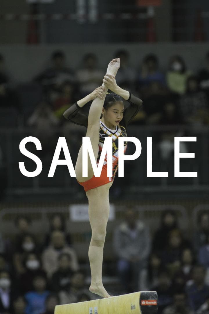 2016年豊田国際体操 日本女子選手画像集　約3,000枚
