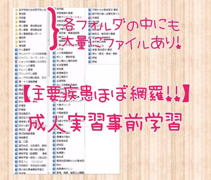 看護実習 看護学生 国家試験 レポート 手順書関連図 看護過程 アセスメント