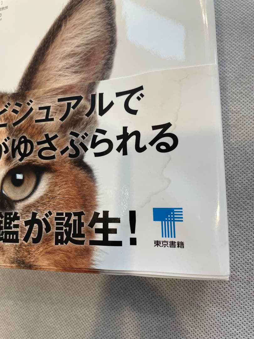 ZOOLOGY 動物の世界 & OCEAN LIFE 海の世界　図鑑2冊セット