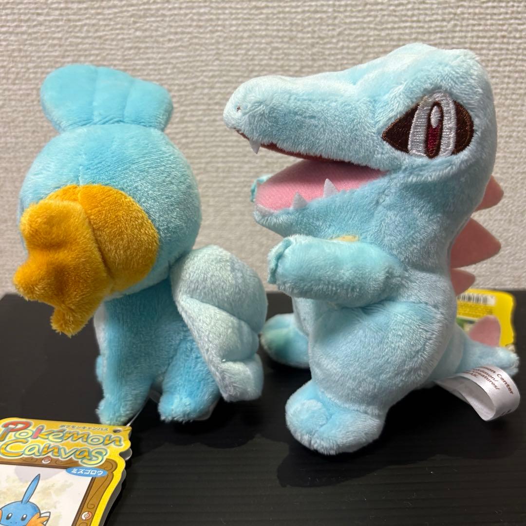 ポケモン　ミズゴロウ　ワニノコ　ぬいぐるみ ポケモンキャンバス