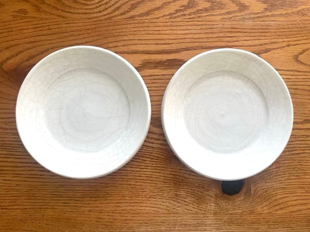 【3/29迄】未使用品　谷口竜　7寸皿　ペア　作家　陶芸　茶器　酒器　うつわ