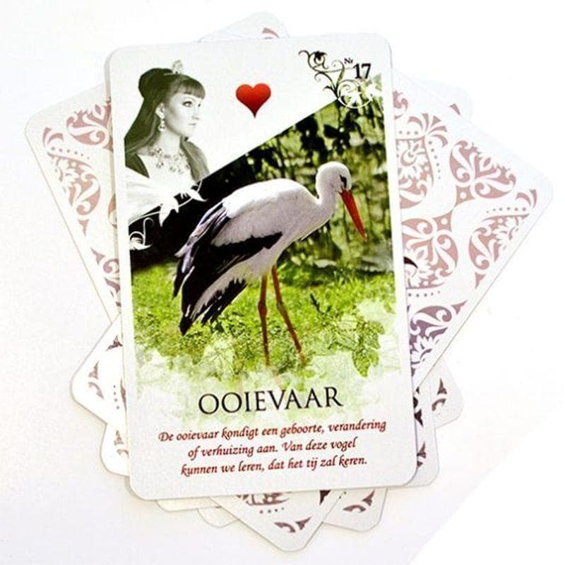 【正規品ルノルマンカード】入手困難 Viona's Lenormand ヴィオナ