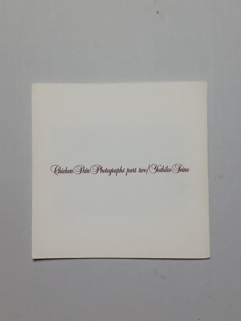 清野賀子 作品集 ChickenSkin Photographs Part 2