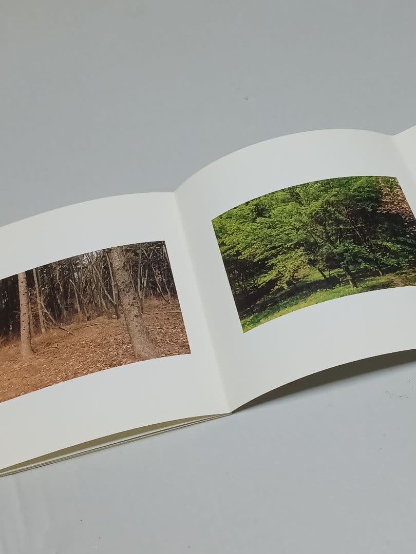 清野賀子 作品集 ChickenSkin Photographs Part 2