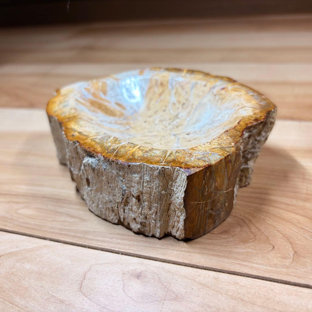 [0] 珪化木 15×10cm (すり鉢加工/磨き上げ)