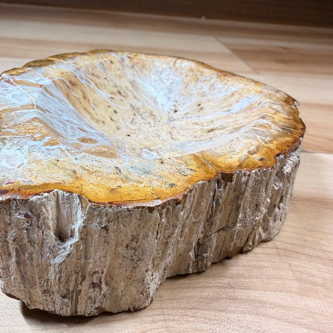 [0] 珪化木 15×10cm (すり鉢加工/磨き上げ)
