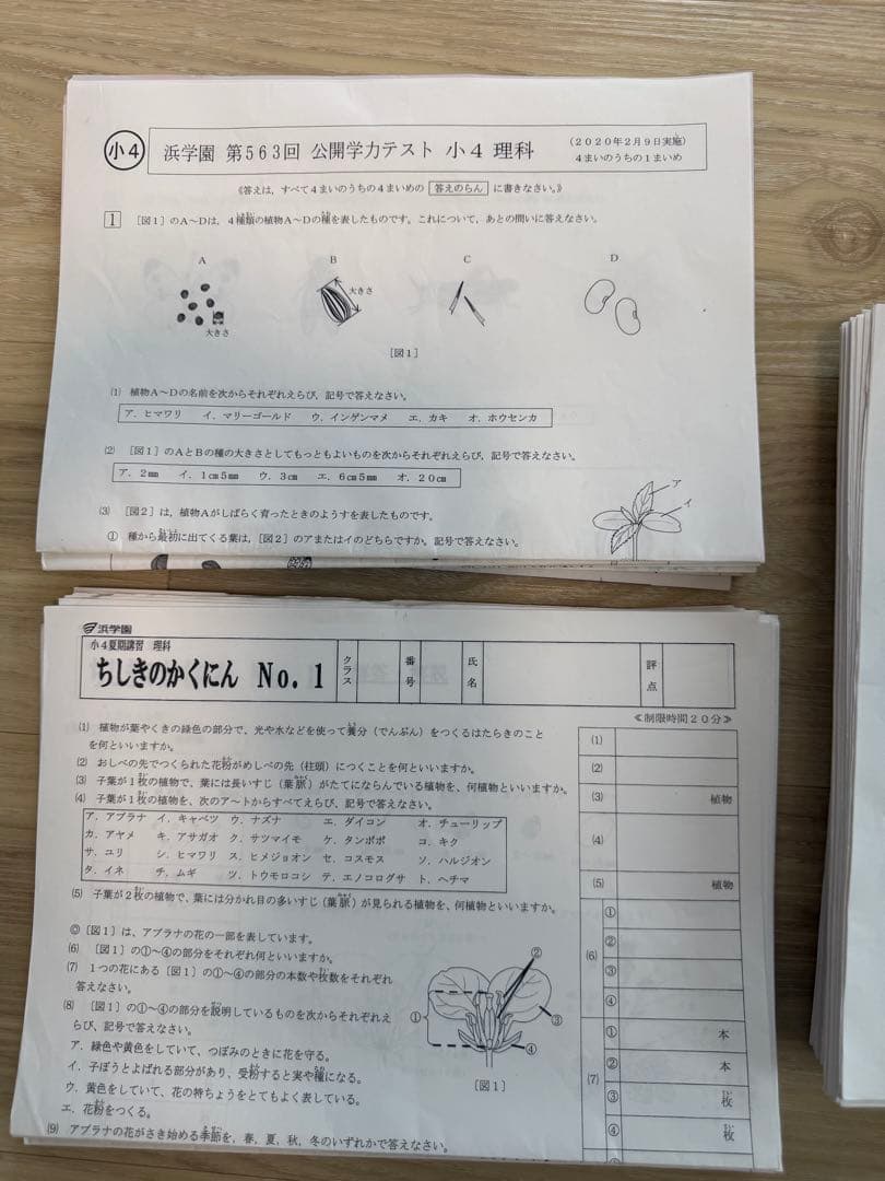 浜学園　2020年度　小4 理科 教材1年分