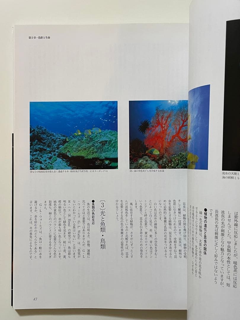 色彩生命論 イリスの色