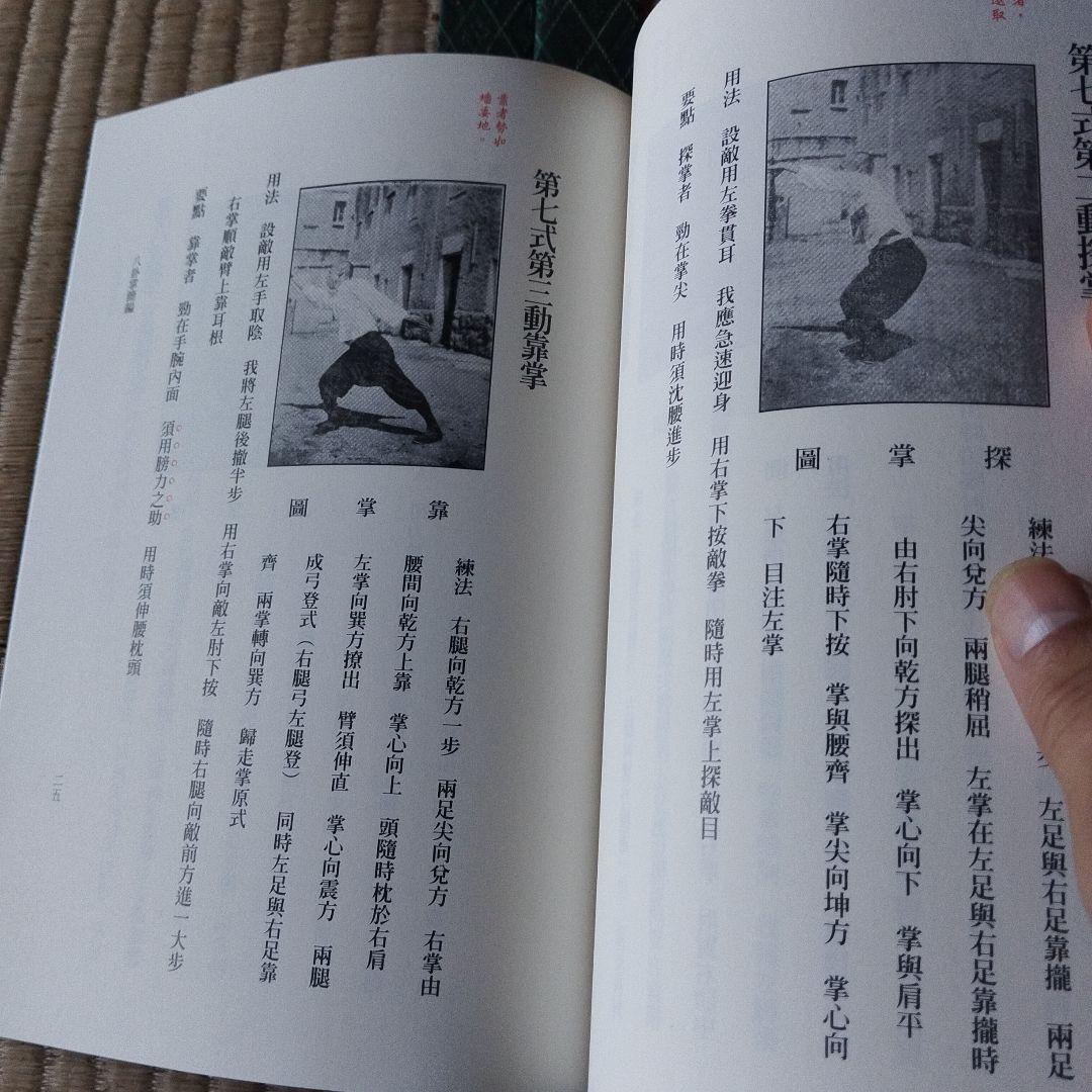 中国武術書籍シリーズ 全42巻セット