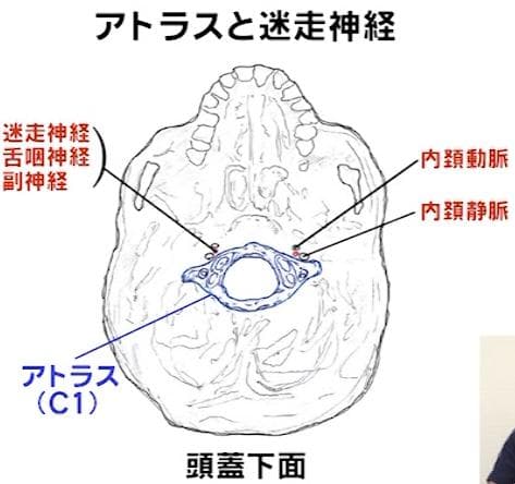 三浦誠の3WAYペインキラーテクニック　C1・骨盤・経絡の３つで痛みを取り去る
