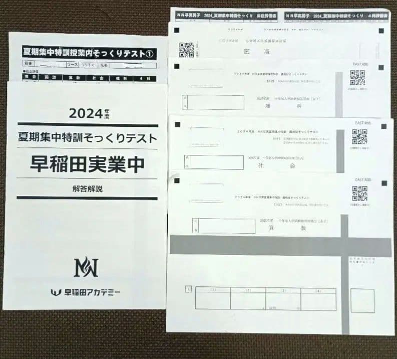 NN早実 夏期集中特訓 2024年 早稲田アカデミー 早稲田実業学校