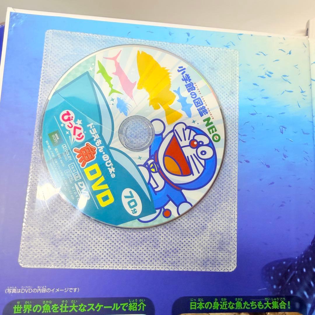 DVD付き　小学館の図鑑neo 6冊セット