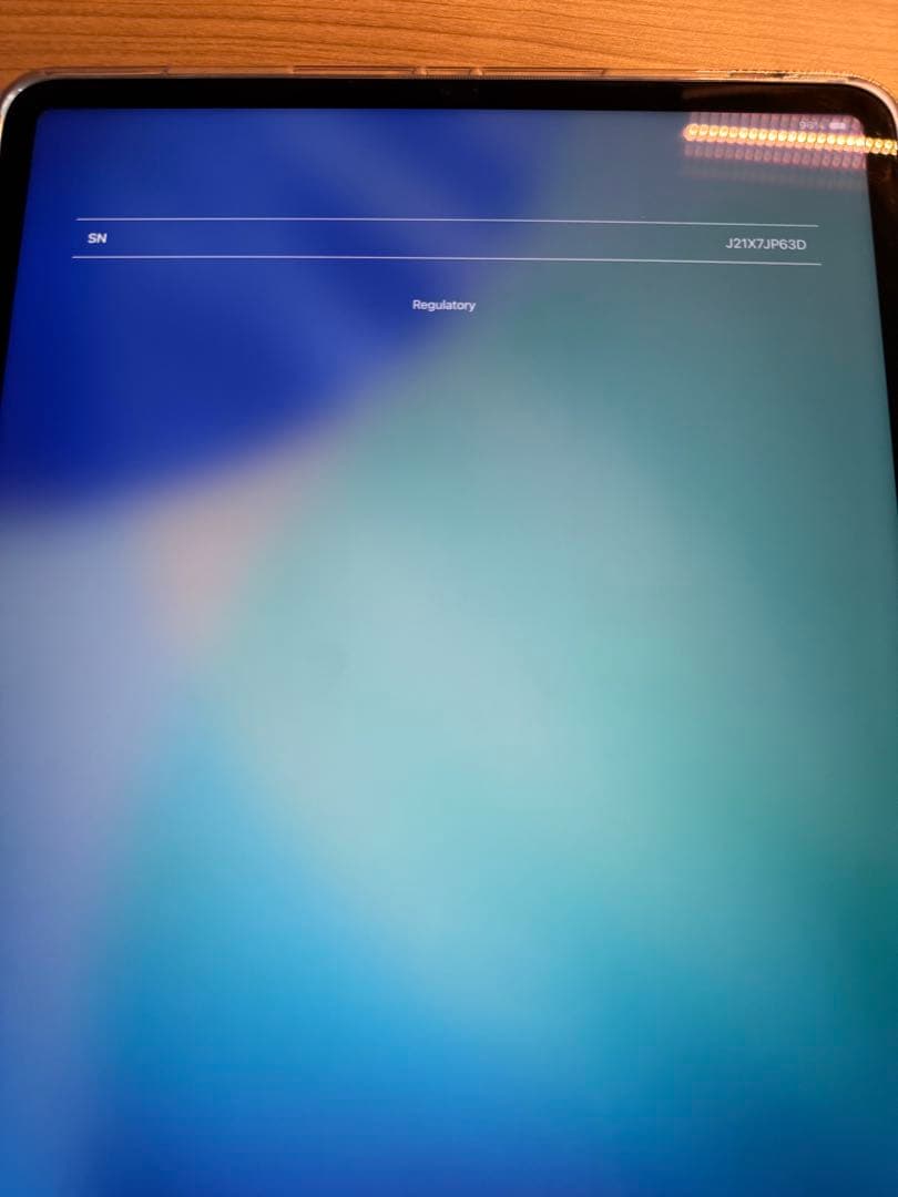 ト*ム様 iPad Pro 12.9インチ　256GB 第6世代シルバー Pen