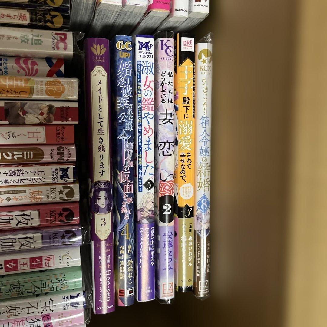 新訳 婚約破棄された令嬢は野獣辺境伯へ嫁ぐ!1 含む57冊　Ａ