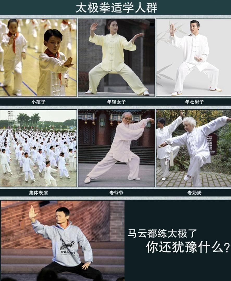 【新品】中国語： 李德印太极集萃 DVDBOX 太極拳のDVD11枚セット