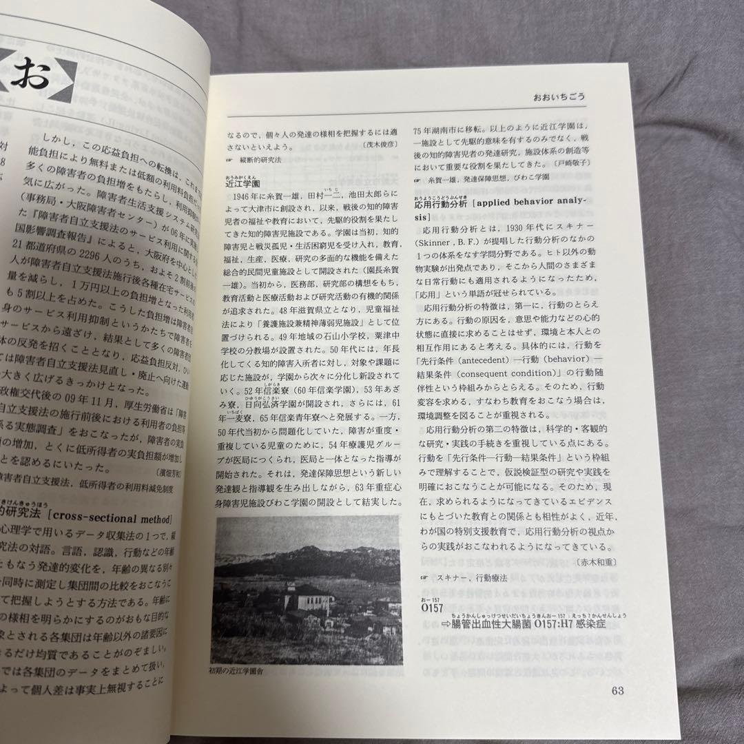 特別支援教育大事典