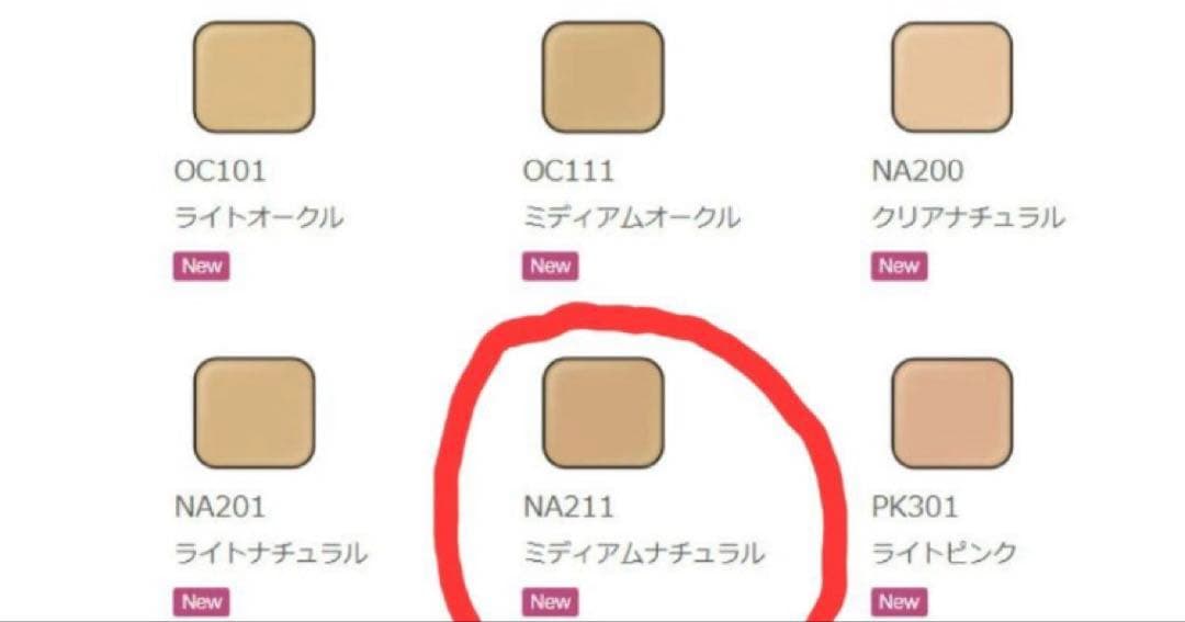 アルビオン　エクシア　アンテリサンス　エマルジョン ファンデーション NA211