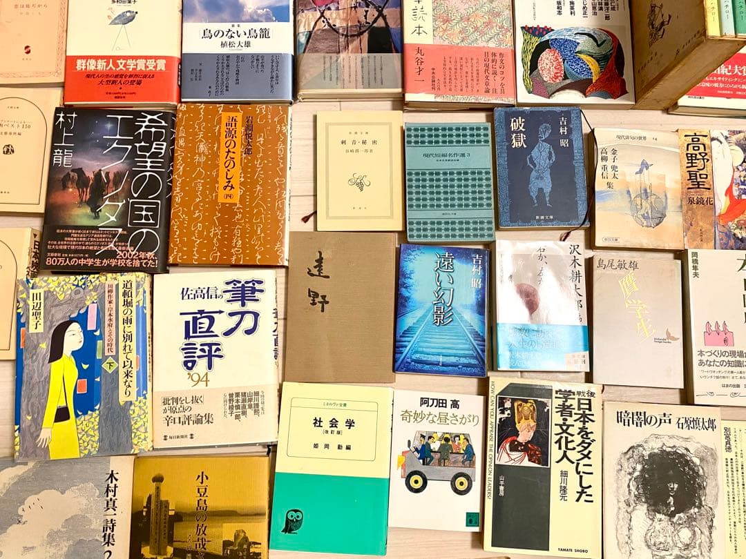 本 小説 書籍 詩集 エッセイ 実用書 評論集 雑誌 100冊 大量 まとめ売り