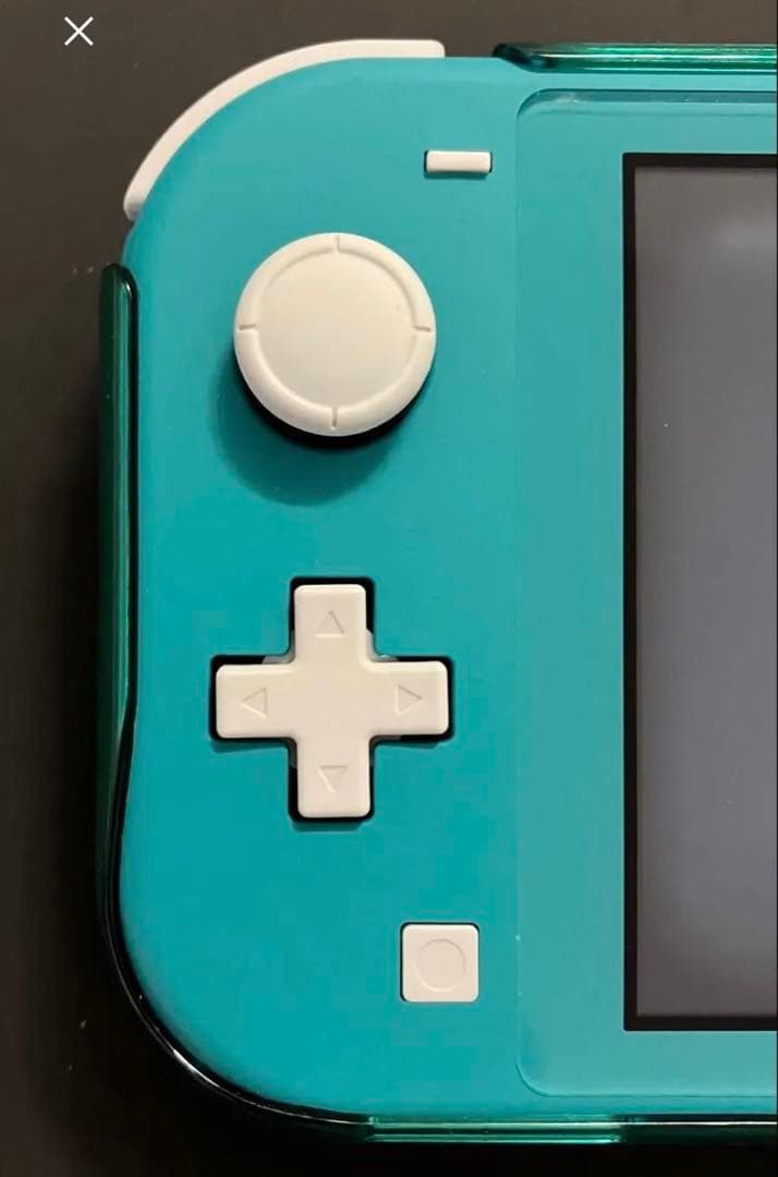Nintendo Switch Lite ターコイズ ケース付き