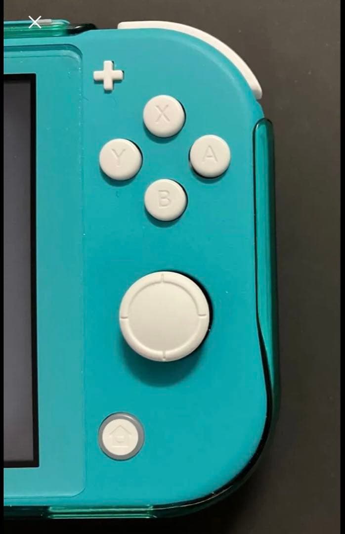 Nintendo Switch Lite ターコイズ ケース付き