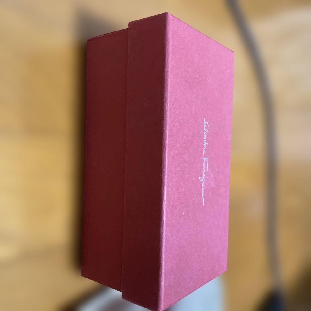 Salvatore Ferragamo サングラスケース レッド