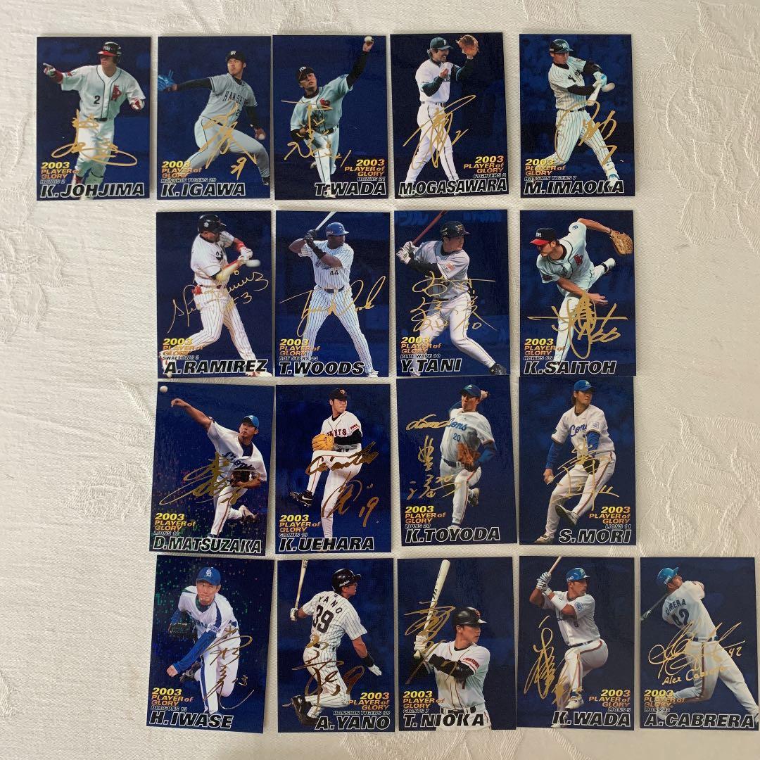 プロ野球チップスカード　インサート　スペシャルエディション