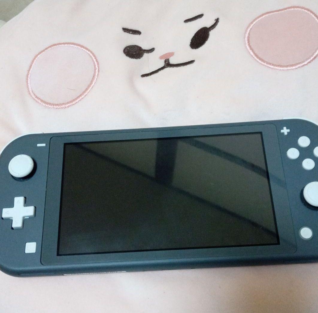 NintendoすWitch　right　グレー