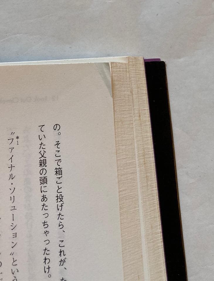 ペーパーバック ルーツオブニューヨークパンク/クリントン ヘイリン他