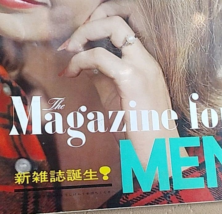 激レア 1964年 雑誌「平凡パンチ」 誕生前のパンフレット！ 昭和レトロ