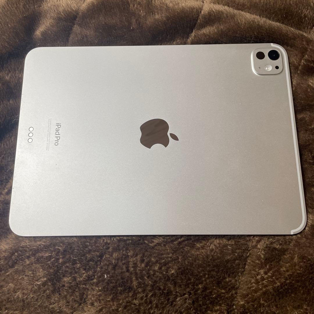 iPad Pro 第5世代　m4 11インチ