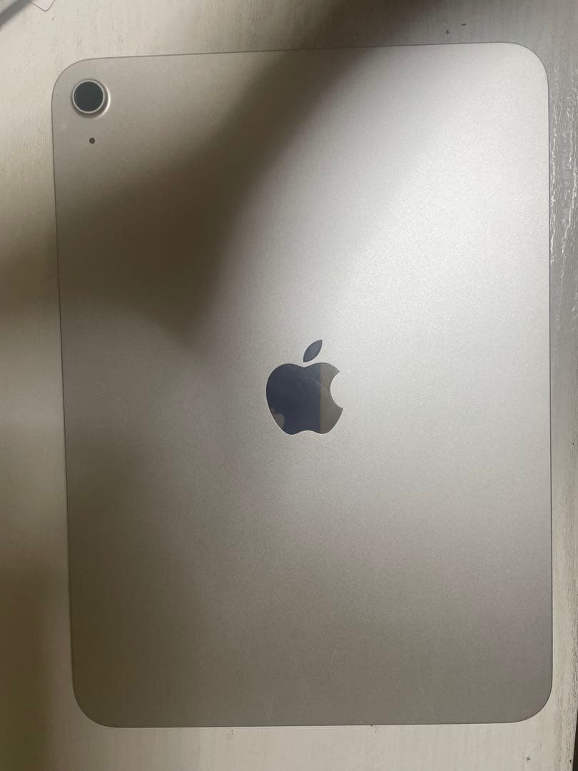 Apple 11 インチ iPad A16充電器 イヤホン付き