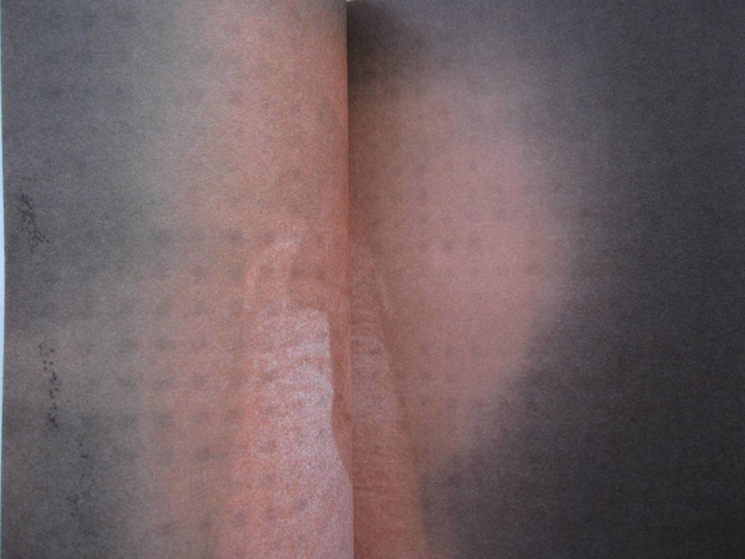Heartpressed　横田大輔　Daisuke Yokota　限定500部