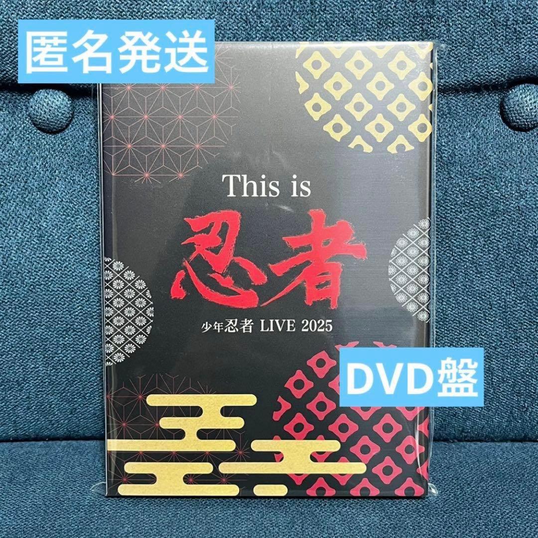 少年忍者 LIVE 2025 This is 忍者DVD盤
