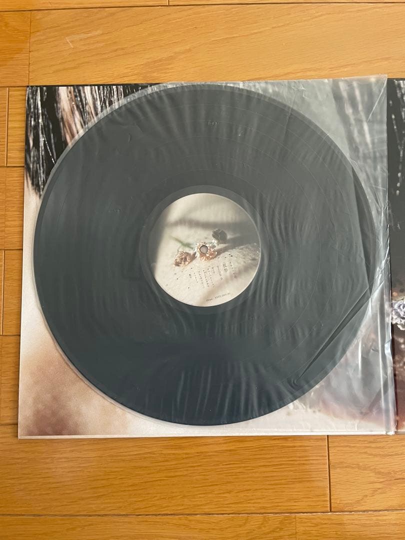 カネコアヤノ　祝祭　レコード　重量盤