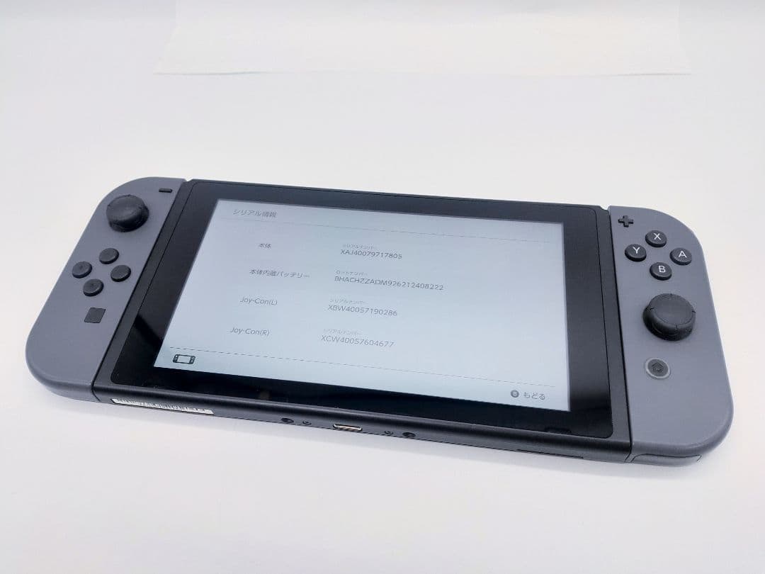 ニンテンドースイッチ 本体 Nintendo Switch グレー