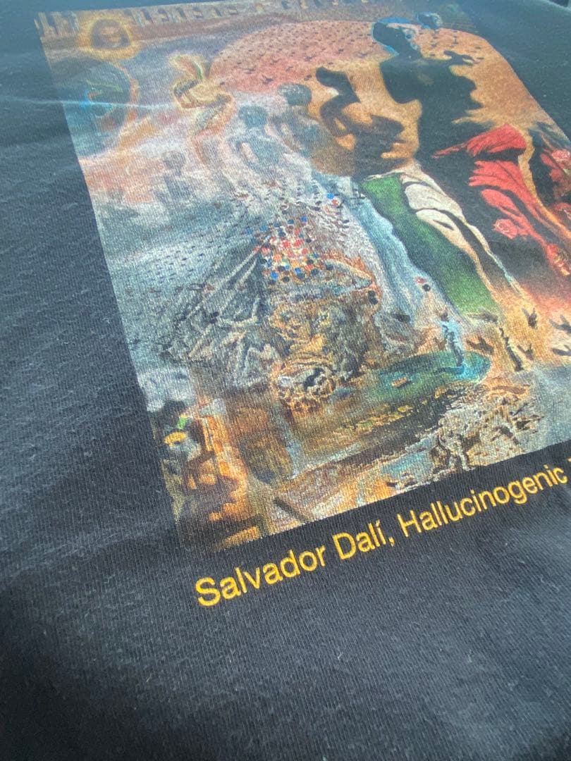 サルバドール・ダリ 幻覚剤的闘牛士 ヴィンテージ 古着 Tシャツ