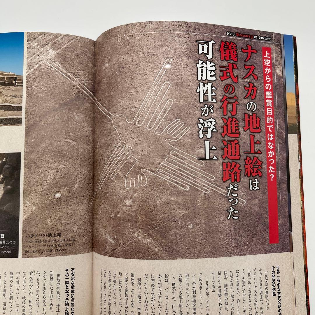 世界の考古学 驚きの発見