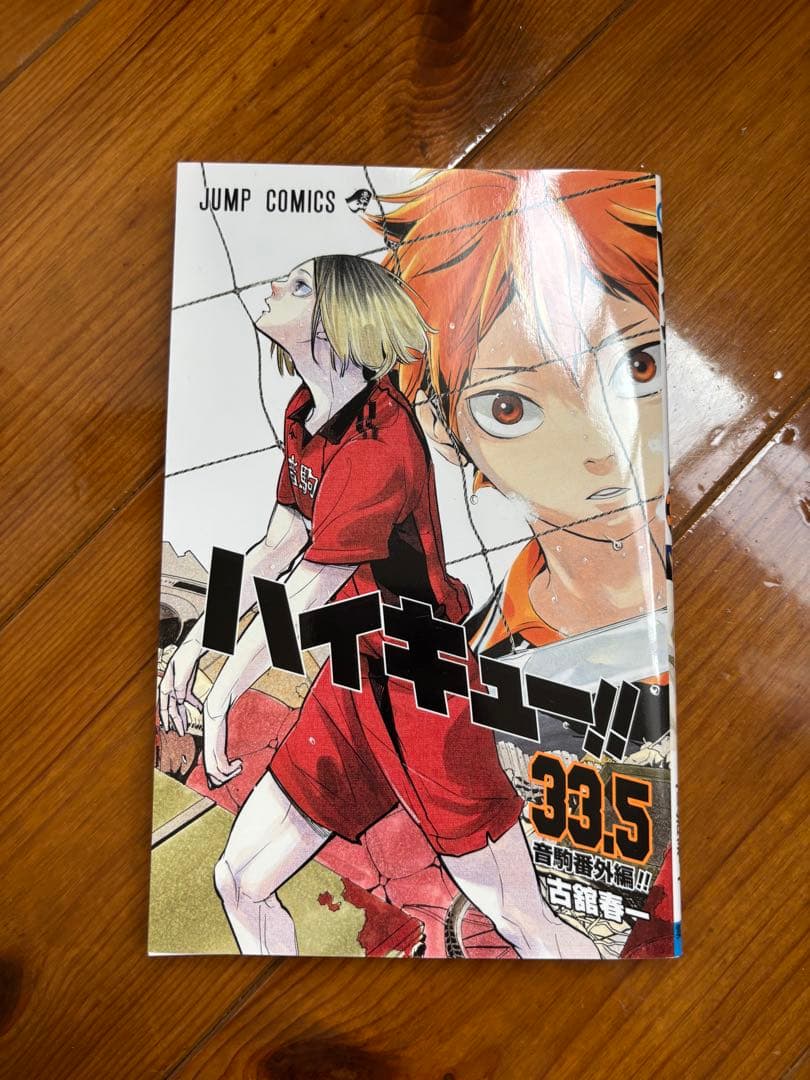ハイキュー!! イラスト　ガイドブック　マガジン　ジャンプGIGA特典　缶バッジ