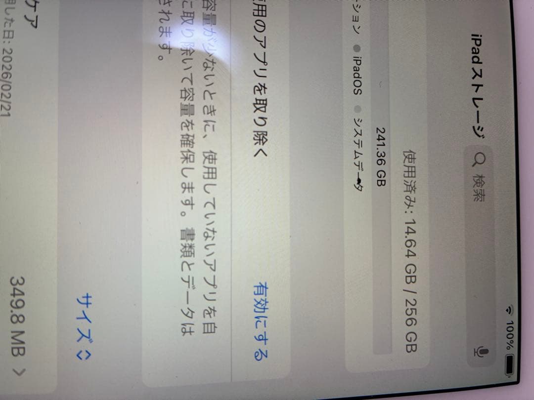iPad Pro 256GB WiFi+Cellulerシルバー 付属品おまけ有