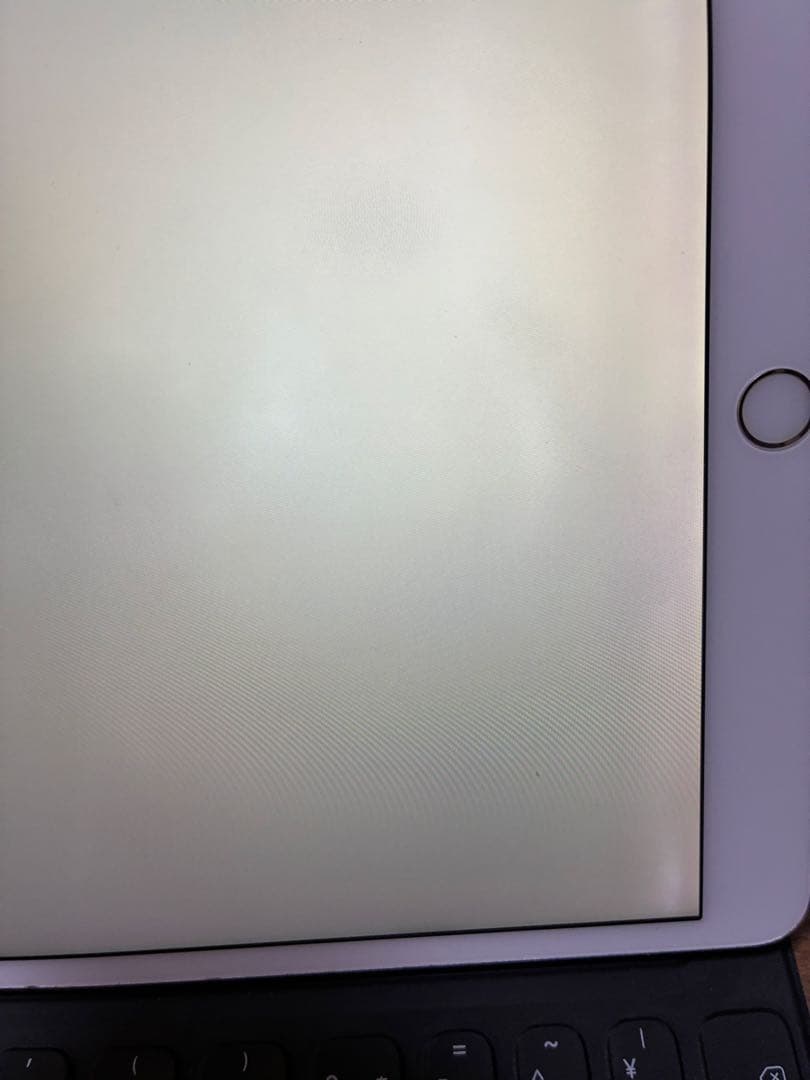 iPad Pro 256GB WiFi+Cellulerシルバー 付属品おまけ有