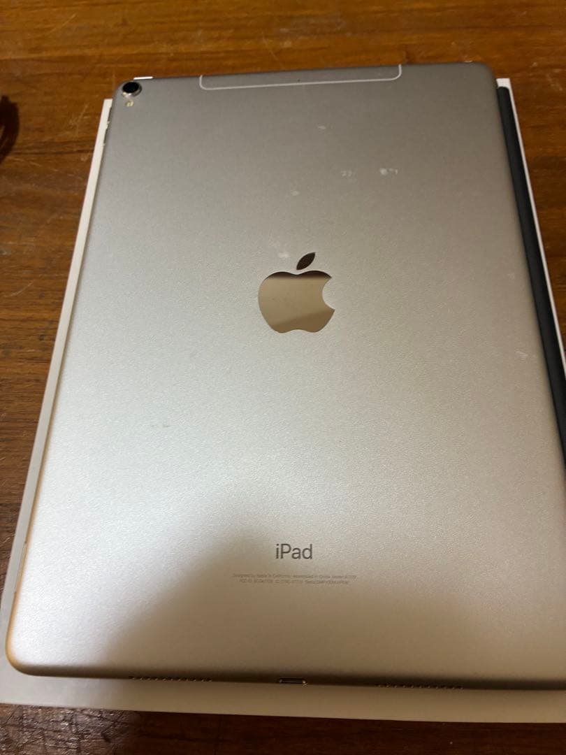 iPad Pro 256GB WiFi+Cellulerシルバー 付属品おまけ有