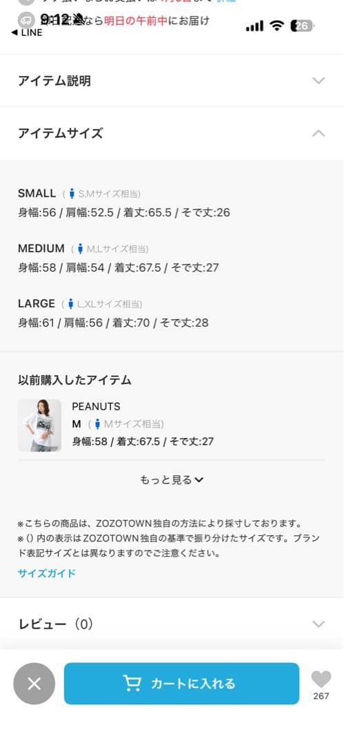 サイズM JOHNBULL PEANUTS GANG Tシャツ