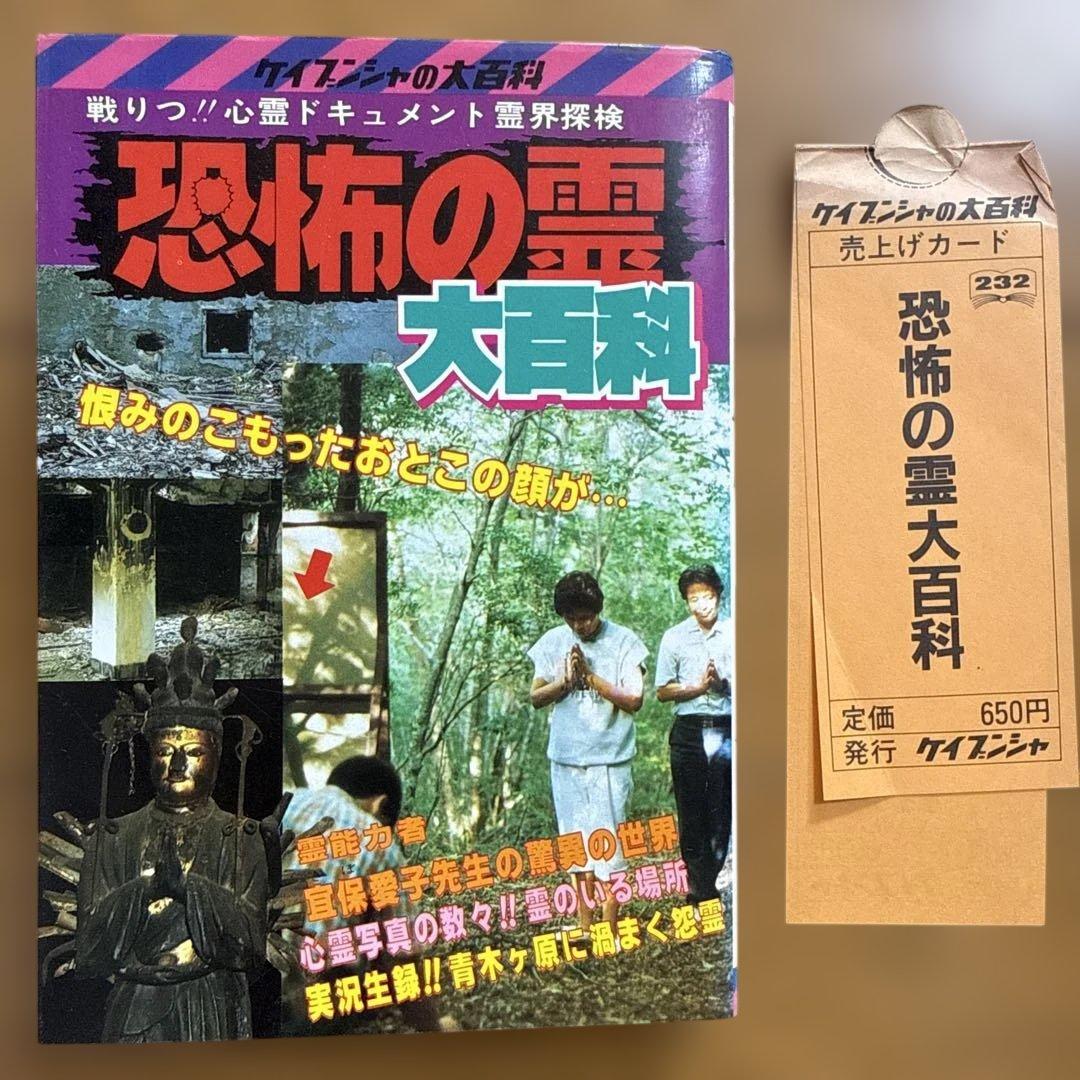 恐怖の霊 ケイブンシャの大百科 232 冝保愛子 心霊 霊界探検 怪奇系児童書