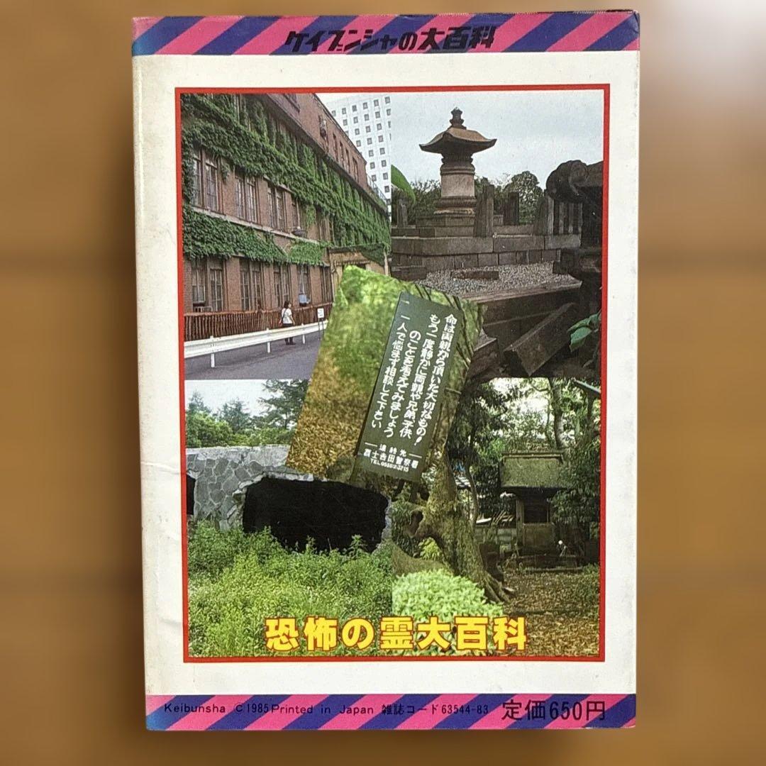恐怖の霊 ケイブンシャの大百科 232 冝保愛子 心霊 霊界探検 怪奇系児童書