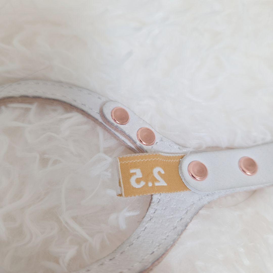 バディベルト ブラッシュ 2.5 BB リードセット BUDDY BELT
